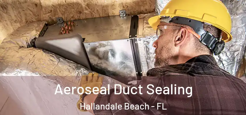  Aeroseal Duct Sealing Hallandale Beach - FL