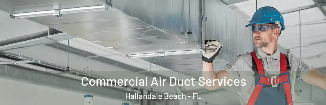  Commercial Air Duct Services Hallandale Beach - FL