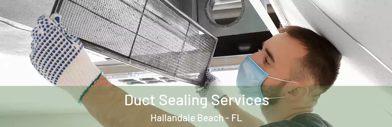  Duct Sealing Services Hallandale Beach - FL