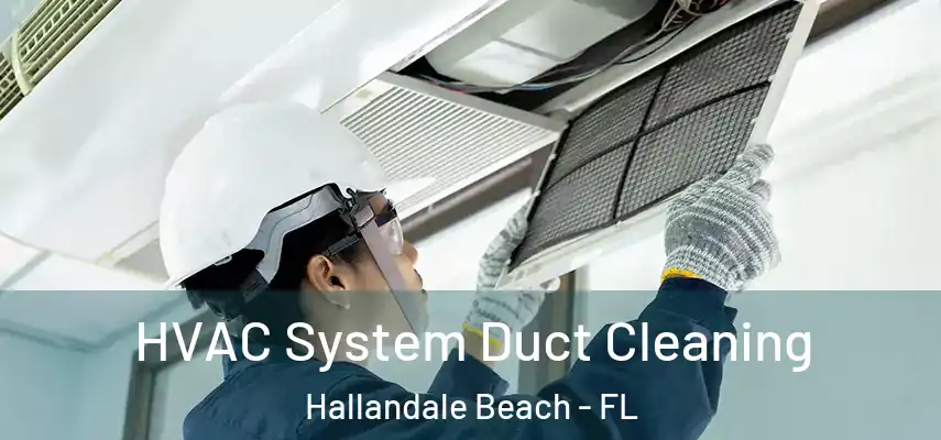  HVAC System Duct Cleaning Hallandale Beach - FL